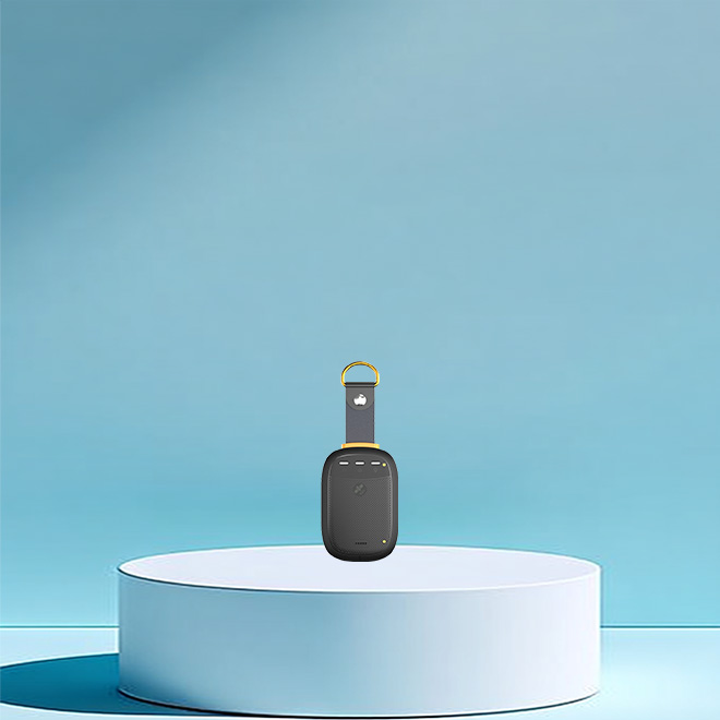 Beidou-3 Bluetooth box